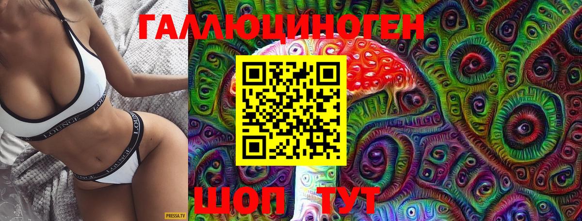 Псилоцибиновые грибы Cubensis  Вход с VPN  Берёзовский 