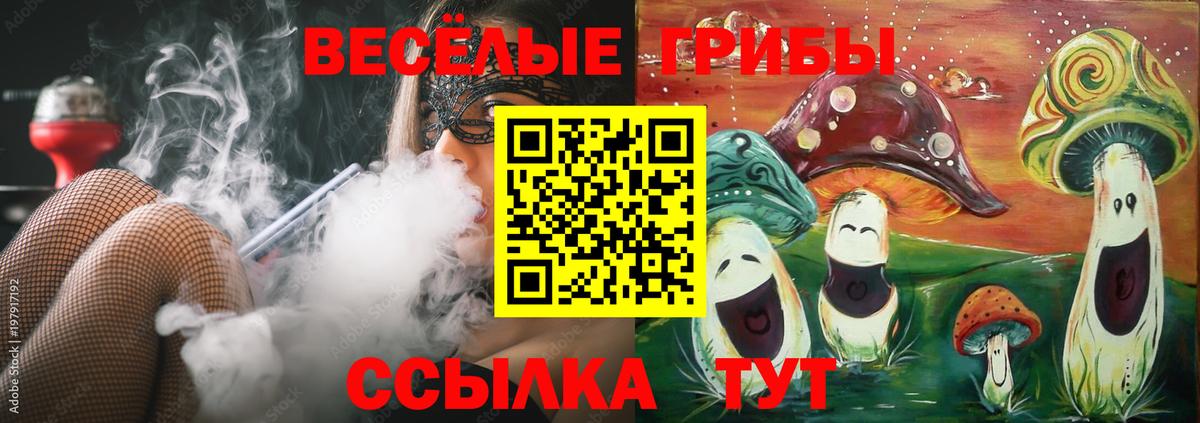 Псилоцибиновые грибы MAGIC MUSHROOMS Берёзовский